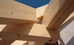 Holzbau